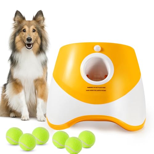 HNNOAIDA Interaktives Hundespielzeug – Automatischer Tennisballwerfer für mittelgroße bis große Hunde, Outdoor-Übung und Training, perfektes Hundespielzeug für Zuhause, 6 Bälle (Orange, Standard) von HNNOAIDA