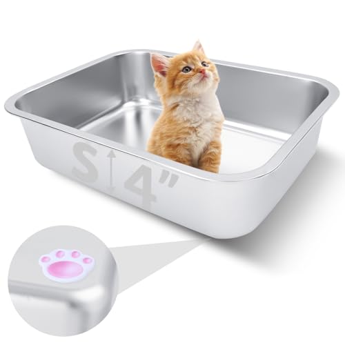 Kleine Edelstahl-Katzentoilette für Kätzchen, 39 x 29 x 10 cm, Metall-Katzentoilette für Kätzchen, rostfrei, antihaftbeschichtet, kein Geruch, leicht zu reinigen, für Katzen und Kaninchen Kleine Edelstahl-Katzentoilette für Kätzchen, 39 x 29 x 10 cm, Metall-Katzentoilette für Kätzchen, rostfrei, antihaftbeschichtet, kein Geruch, leicht zu reinigen, für Katzen und Kaninchen von HNeekyr