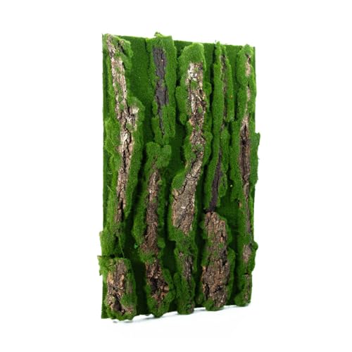 HNsdsvcd Dekorativer Hintergrund für Terrarien, Landschaft, wasserabweisend und natürliches Moos, Hintergrund für Reptilienbox HNsdsvcd Dekorativer Hintergrund für Terrarien, Landschaft, wasserabweisend und natürliches Moos, Hintergrund für Reptilienbox von HNsdsvcd