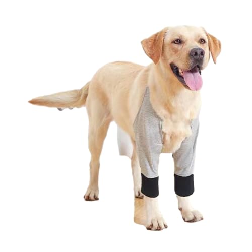 HNsdsvcd Ellenbogenbandage für Hunde, Unterstützung für verletzte Gliedmaßen, fördert den Komfort, hilft gegen Lecken, unterstützt Bandage, Vordergelenk-Bandage für Hunde von HNsdsvcd