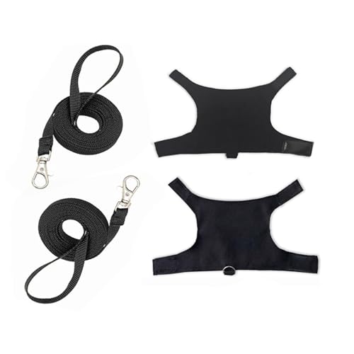 HNsdsvcd Kleines Tiergeschirr Mit Leine Für Bartagamen Bedrucktes Reptiliengeschirr Weste Outdoor Walking Trainingskleidung 2Set HNsdsvcd Kleines Tiergeschirr Mit Leine Für Bartagamen Bedrucktes Reptiliengeschirr Weste Outdoor Walking Trainingskleidung 2Set von HNsdsvcd