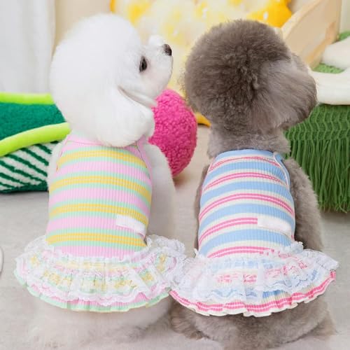 HOCEDO 3 stücke Stripped Hund Kleid Kleidung Sommer Spitze Sling Haustier Katze Kleidung Bunte Welpen Hund Hosenträger Rock Mädchen Bekleidung Hund Kleider HOCEDO 3 stücke Stripped Hund Kleid Kleidung Sommer Spitze Sling Haustier Katze Kleidung Bunte Welpen Hund Hosenträger Rock Mädchen Bekleidung Hund Kleider von HOCEDO