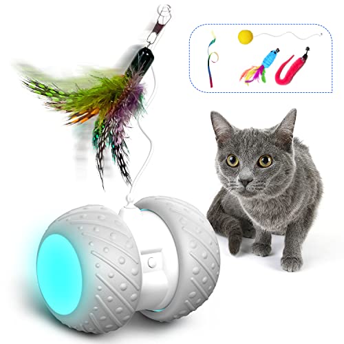 HOFIT Interaktives Elektrischer Katzenspielzeug Automatischer Drehender Katzenball mit LED-Lichtspielzeug,Katzen Roller Ball Intelligenzspielzeug Für Kätzchen und Hund (A) von HOFIT