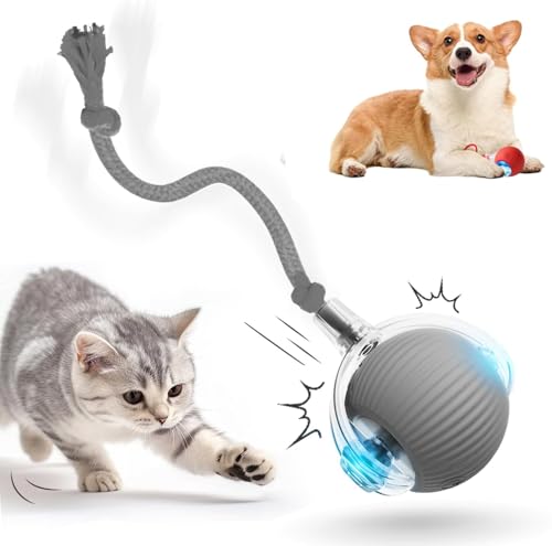 HOIDOKLY 2025 Neu Interaktives Katzenballspielzeug, Haustiere Spielzeug, Hundeballspielzeug mit USB Aufladbar, DREI Arbeitsmodi, 360° drehbar Smart Ball für Katzen und Hunde (Grau) von HOIDOKLY