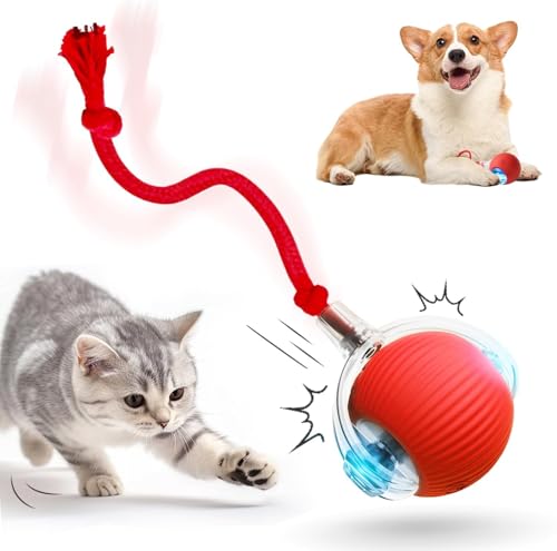 HOIDOKLY 2025 Neu Interaktives Katzenballspielzeug, Haustiere Spielzeug, Hundeballspielzeug mit USB Aufladbar, DREI Arbeitsmodi, 360° drehbar Smart Ball für Katzen und Hunde (Rot) von HOIDOKLY