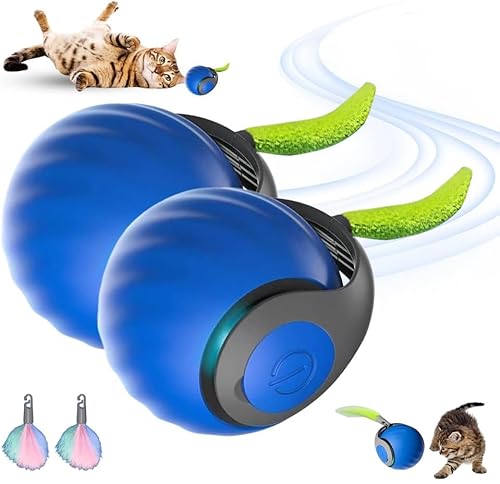 HOIDOKLY Speedy Tail 2.0 Katzenspielzeug, 2025 Neuer Automatisch Beweglicher Haustier Spielzeugball, Intelligenter Interaktiver Katzenspielzeugball, Hund Spielzeugball, Lindert Ängste (Blau-2PCS) von HOIDOKLY