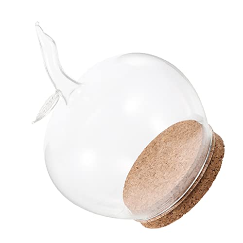 HOLIDYOYO 1 Satz Mikro-Landschaftsglaskuppel dekoratives Terrarium Anzeige pädiprotect schutzzelt blumenstecker blumenvasen konservierte Blumenabdeckung konservierter Blumenschmuck hölzern von HOLIDYOYO