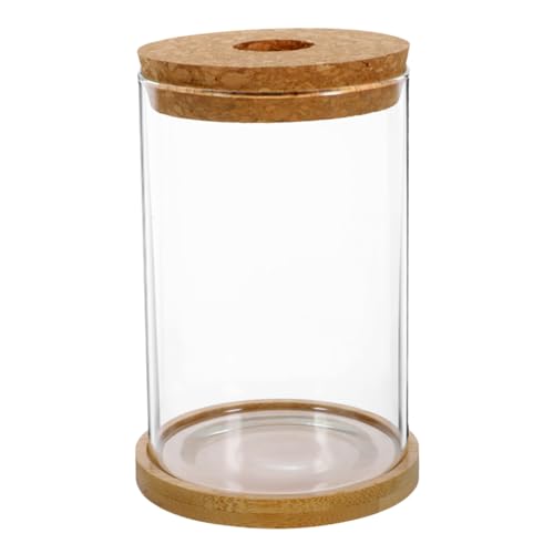HOLIDYOYO 1 Satz hydroponische Vase blumentöpfe blumenkübel hydroponische Testflasche Bepflanzung Einer Wasserstation Links Micro-Landschafts-DIY-Flasche Mikro-Landschaftsbehälter Bambus von HOLIDYOYO