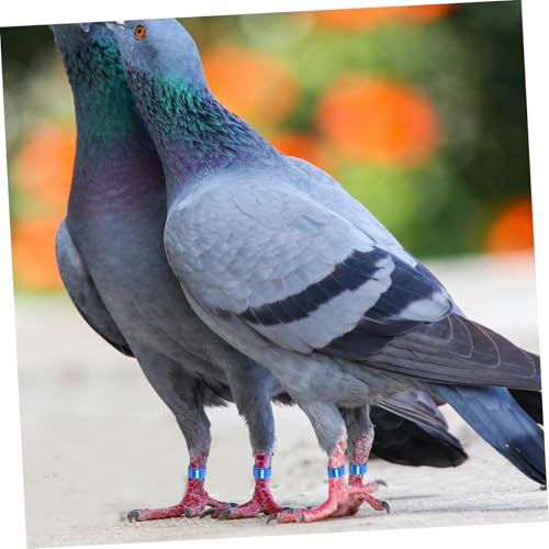 HOLIDYOYO 10 Stück Aluminium Tauben Fußringe Innen Ø Robuste Blaue Vogel Identifikationsringe Langlebige Trainingsbänder für Tauben Gesundheit Schonend und Witterungsbeständig von HOLIDYOYO