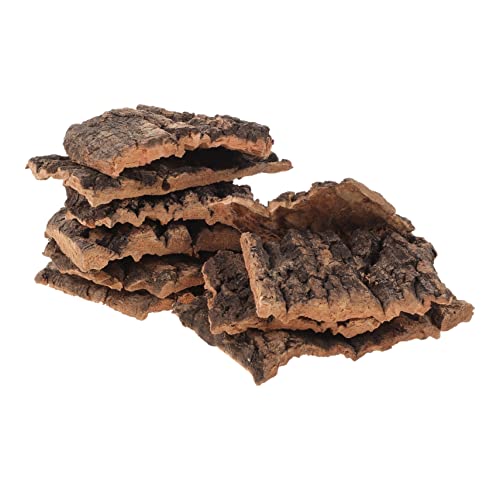 HOLIDYOYO 10 Stück Dekoration Aus Champagnerrinde Bartagame Hängematte Sich Aalen Bellen Stümpfe Baumrinde Für Reptilien Texturiert Korkenrinde Reptilienhaut Coffee Holz von HOLIDYOYO