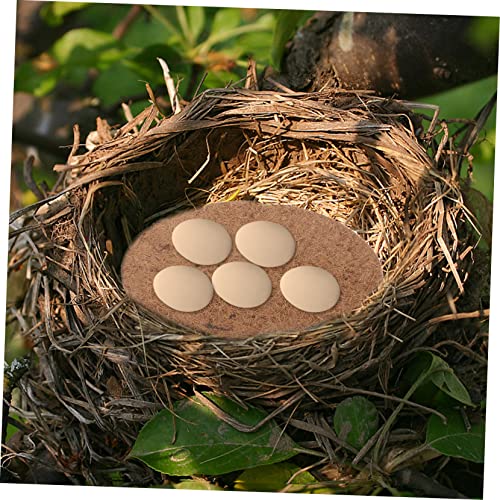 HOLIDYOYO 10 Stück Teiliges Taubennestmatten aus Natürlichem Palmenmaterial Atmungsaktive Feuchtigkeitsbeständige Vogel Einlage für Nistplätze von Tauben Vögeln und Kleinen Haustieren HOLIDYOYO 10 Stück Teiliges Taubennestmatten aus Natürlichem Palmenmaterial Atmungsaktive Feuchtigkeitsbeständige Vogel Einlage für Nistplätze von Tauben Vögeln und Kleinen Haustieren von HOLIDYOYO