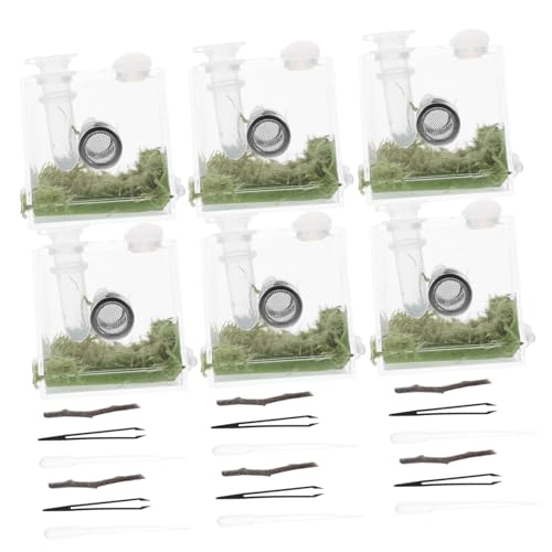 HOLIDYOYO 2 Sätze Springspinne Habitat Box von Insekten Futterboxen aus Transparent Leicht und Tragbar mit Belüftung für Kleine Spinnen und Insektenhaltung HOLIDYOYO 2 Sätze Springspinne Habitat Box von Insekten Futterboxen aus Transparent Leicht und Tragbar mit Belüftung für Kleine Spinnen und Insektenhaltung von HOLIDYOYO