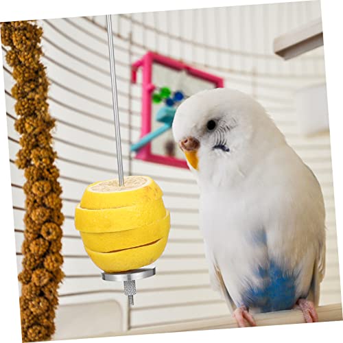 HOLIDYOYO 2 Stück Obst und Gemüsespieße für Vogelkäfig Futterhalter für Wellensittiche Papageien und Kleine Vögel Sichere Futterspieße zur Artgerechten und Beschäftigung HOLIDYOYO 2 Stück Obst und Gemüsespieße für Vogelkäfig Futterhalter für Wellensittiche Papageien und Kleine Vögel Sichere Futterspieße zur Artgerechten und Beschäftigung von HOLIDYOYO