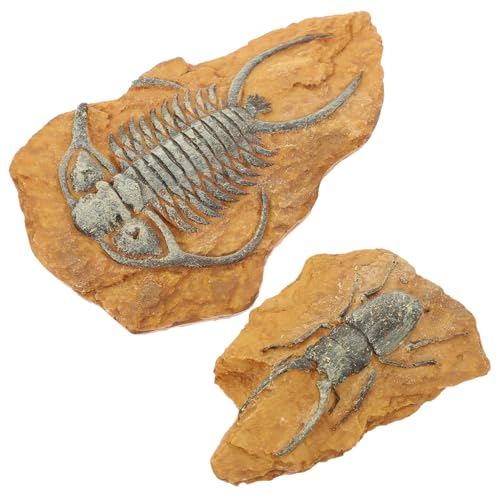 HOLIDYOYO 2 Stück Teiliges Reptilien Terrarium Deko aus Hochwertigem Harz Stabile Fossil Nachbildung für Gecko Landschaft Dekorative Box Ornamente Dunkle Atmosphäre für Eidechsen und Kleine HOLIDYOYO 2 Stück Teiliges Reptilien Terrarium Deko aus Hochwertigem Harz Stabile Fossil Nachbildung für Gecko Landschaft Dekorative Box Ornamente Dunkle Atmosphäre für Eidechsen und Kleine von HOLIDYOYO
