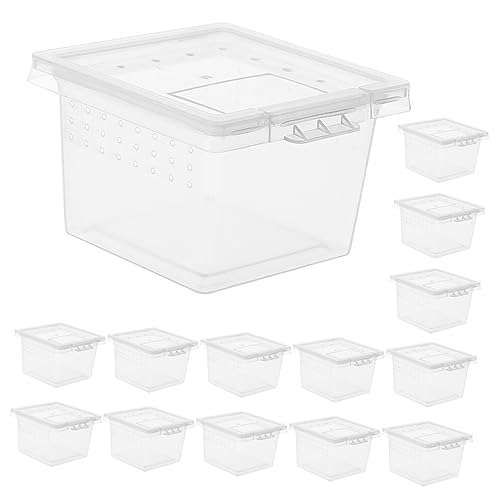 HOLIDYOYO 20 Stück Boxen Für Haustiere Futterboxen Für Reptilien Kleine Schildkröten Vivarium Schildkrötengehege Eidechsenzucht Schildkröten Terrarium Schildkrötenaquarium von HOLIDYOYO