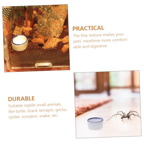 HOLIDYOYO 24 Stück Teiliges Mini Keramik wasserbecken für Kleine Reptilien und Spinnen Langlebige Praktische Wasserschale Schadstofffrei als Terrarienzubehör und Futterstation HOLIDYOYO 24 Stück Teiliges Mini Keramik wasserbecken für Kleine Reptilien und Spinnen Langlebige Praktische Wasserschale Schadstofffrei als Terrarienzubehör und Futterstation von HOLIDYOYO