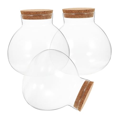HOLIDYOYO 3 Stück Ökologische Mikrolandschaftsflasche Pflanzen Anlage Drinnen Luftdicht Aquarium Moos Landschaft Container Mini-landschaftsflasche Vorratsflasche Moos Handwerk Glas von HOLIDYOYO
