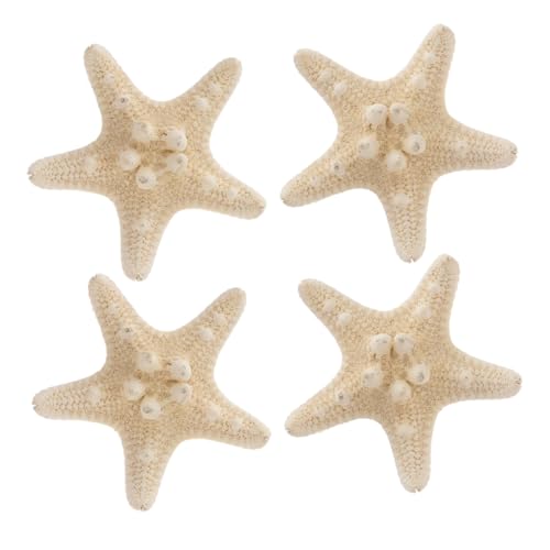 HOLIDYOYO 4 Stück Natürliche Seesterne Deko Meeresthema für DIY Basteln Stranddeko Geschenk Wohnraum Schlafzimmer Raum von HOLIDYOYO
