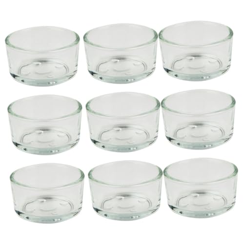 HOLIDYOYO 9Stücke Teiliges Reptilien Wasserspeiseteller Aus Futternapf Für Eidechsen Schildkröten Und Andere Kleintiere Langlebig Für Terrarien Futter HOLIDYOYO 9Stücke Teiliges Reptilien Wasserspeiseteller Aus Futternapf Für Eidechsen Schildkröten Und Andere Kleintiere Langlebig Für Terrarien Futter von HOLIDYOYO