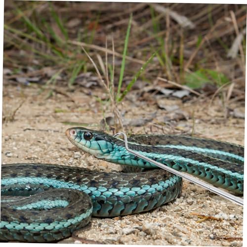HOLIDYOYO Einziehbarer Schlangenhaken aus Tragbar mit Ausziehbarem Teleskopstiel Rutschfestem Griff für Sicheres Handling von Reptilien und Schlangen im Terrarium und Outdoor Einsatz HOLIDYOYO Einziehbarer Schlangenhaken aus Tragbar mit Ausziehbarem Teleskopstiel Rutschfestem Griff für Sicheres Handling von Reptilien und Schlangen im Terrarium und Outdoor Einsatz von HOLIDYOYO