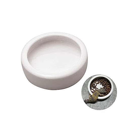 HOLIDYOYO Futternapf für Garnelen und Reptilien Runde Robuste Futterschale Entweich Design Vielseitig Nutzbar für Aquarien und Terrarien Pflegeleicht und Langlebig von HOLIDYOYO