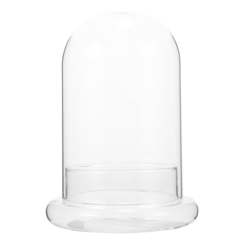 HOLIDYOYO Glas-Cloche-Displaykuppel Kleines Klares Glaskuppelglas Terrarium-Displaykuppelflaschen Dekoratives Gehäuse Für DIY-Pflanzen Sukkulenten Lichterketten L von HOLIDYOYO