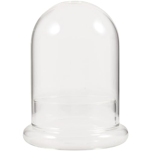 HOLIDYOYO Landschaft Terrarium Anlage Flasche Große Loch Glas Garten Cloche Vase von HOLIDYOYO