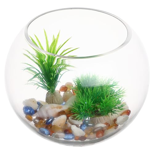 HOLIDYOYO Glasblasenvase Schüssel Fischschüssel Vase Schüssel Rundes Terrarium Kleines Betta-Aquarium Durchsichtiger Fischhalter Blumenvase Blasenpflanzer Luftpflanzenpflanzer 20 cm von HOLIDYOYO