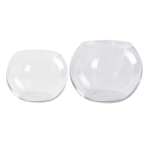 HOLIDYOYO Glasvase 2 Stück Runde Blumenvase Rundes Terrarium Hydrokultur-Pflanzgefäß Blumenbehälter Klare Kugel Fischschale Kleines Aquarium Für Tischdekoration 10 cm HOLIDYOYO Glasvase 2 Stück Runde Blumenvase Rundes Terrarium Hydrokultur-Pflanzgefäß Blumenbehälter Klare Kugel Fischschale Kleines Aquarium Für Tischdekoration 10 cm von HOLIDYOYO