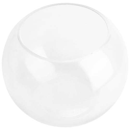 HOLIDYOYO Glasvase 2 Stück Runde Blumenvase Rundes Terrarium Hydrokultur-Pflanzgefäß Blumenbehälter Klare Kugel Fischschale Kleines Aquarium Für Tischdekoration 15 cm von HOLIDYOYO