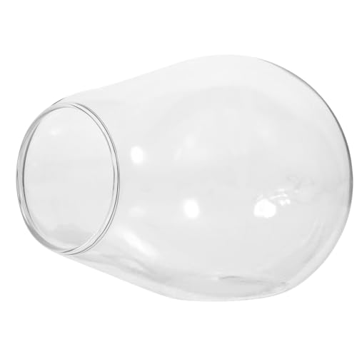 HOLIDYOYO Glasvase Terrarien Garten Sets Vasen Blumenvase Durchsichtig Für Den Innenbereich Mikro Kleine Sukkulenten Pflanzen Für Den Außenbereich Gläser Terrarien Sukkulenten von HOLIDYOYO
