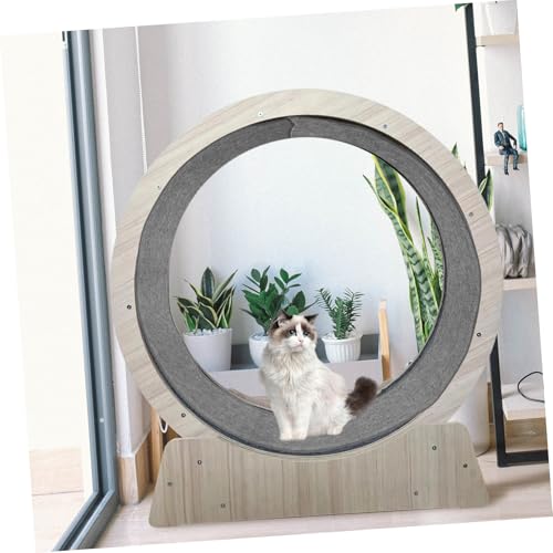 HOLIDYOYO Katzentrainingsrad Matte Langlebige Kratzmatte aus Kunststoff rutschfeste Katzenlaufmatte für Gesundes Training Geräuscharm für Katzen und Kleine Haustiere HOLIDYOYO Katzentrainingsrad Matte Langlebige Kratzmatte aus Kunststoff rutschfeste Katzenlaufmatte für Gesundes Training Geräuscharm für Katzen und Kleine Haustiere von HOLIDYOYO