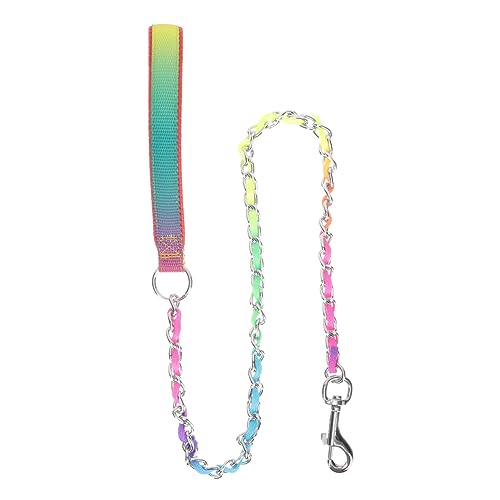 HOLIDYOYO Professionelle Kettenleine Hundeleine Welpe Haustier Hundespielzeug Zahnpasta Für Hunde Kaubar Kleine Hunde Nicht Hundebett Handhaben Kontrolle Hundegeschirr Rostfreier Stahl von HOLIDYOYO
