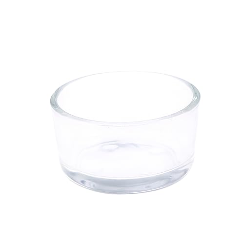 HOLIDYOYO Reptilien Futternapf Rundes Futterbecken Kleintiere Fische Eidechsen Wasserschale Transparent Terrarienzubehör von HOLIDYOYO