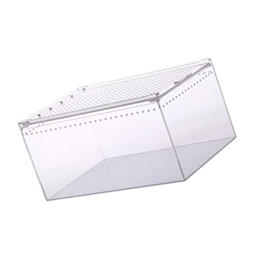 HOLIDYOYO Reptilien Zuchtbox Transparent Pflegeleicht Für Spinnen Geckos Schlangen Mit Sicherem Deckel Für Haustiere Und Transport von HOLIDYOYO