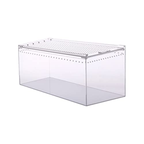 HOLIDYOYO Reptilienzuchtbox Transparente Futterbox Für Spinnen Geckos Schlangen Zu Reinigen Atmungsaktiv Für Transport Und Verschiedene von HOLIDYOYO