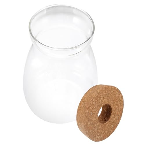 HOLIDYOYO Terrarium Glasbehälter mit Deckel Großes Ökosystem Terrarium für Pflanzen Dekoratives Glasgefäß für Hydrokultur und Innendekoration für Wohnzimmer Büro von HOLIDYOYO