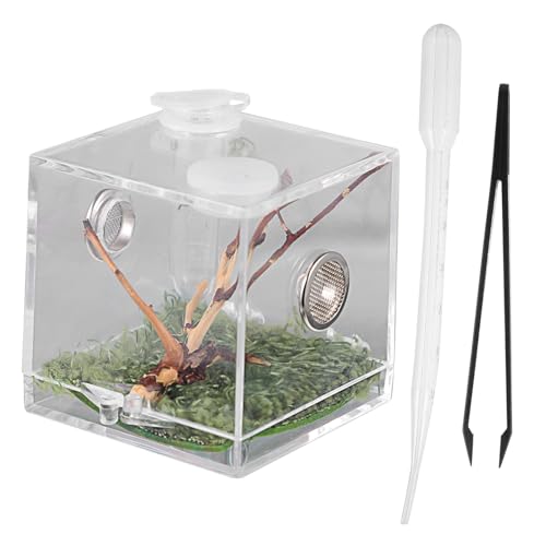 HOLIDYOYO Transparente Kunststoff Reptilien Zuchtbox mit Belüftungslöchern für Kleine Haustiere Langlebiger Terrarium Behälter mit Guter Lichtdurchlässigkeit Geeignet für Spinnen und Echsen HOLIDYOYO Transparente Kunststoff Reptilien Zuchtbox mit Belüftungslöchern für Kleine Haustiere Langlebiger Terrarium Behälter mit Guter Lichtdurchlässigkeit Geeignet für Spinnen und Echsen von HOLIDYOYO
