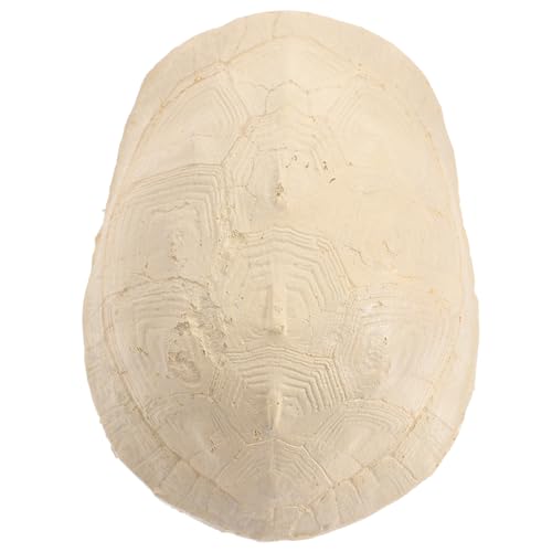 HOLIDYOYO Turtle Terrace Resin Kletterplattform für Aquarium Wassersicher Abriebfest Sonnenplatz für Schildkröten Dekoratives Schildkrötenhaus als Terrarien und Wasserschildkröten Zubehör HOLIDYOYO Turtle Terrace Resin Kletterplattform für Aquarium Wassersicher Abriebfest Sonnenplatz für Schildkröten Dekoratives Schildkrötenhaus als Terrarien und Wasserschildkröten Zubehör von HOLIDYOYO