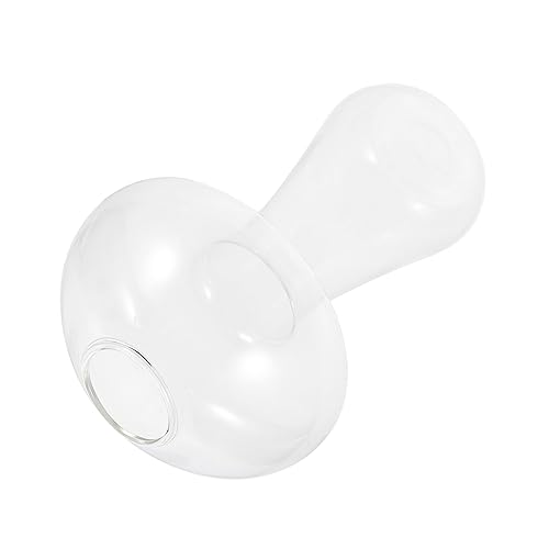 HOLIDYOYO Vase famaliguy pflanz Terrarium glasgefäß plantafel terrarien dekoringe terraristik Anlage für kleines Aquarium aus Glas von HOLIDYOYO