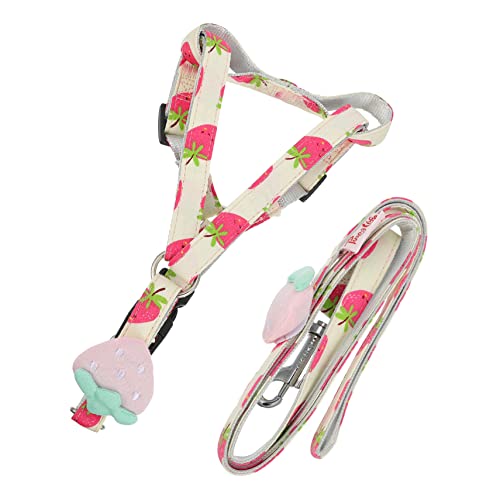 HOLIDYOYO Verstellbare Hundeleine mit Fruchtigem Design Haustier Ziehseil für Outdoor Aktivitäten Erdbeerfarbe für Kleine und Mittelgroße HOLIDYOYO Verstellbare Hundeleine mit Fruchtigem Design Haustier Ziehseil für Outdoor Aktivitäten Erdbeerfarbe für Kleine und Mittelgroße von HOLIDYOYO