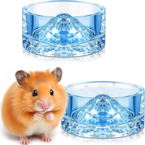 Hamster-Wassernäpfe aus Glas, Hamster, Futternapf, Berg-Stil, Trinkschüssel, Anti-Drehen, für Zwerg, syrische Hamster, Meerschweinchen, Rennmäuse, Mäuse, Igel, Ratten, Chinchilla, kleine Haustiere, Hamster-Wassernäpfe aus Glas, Hamster, Futternapf, Berg-Stil, Trinkschüssel, Anti-Drehen, für Zwerg, syrische Hamster, Meerschweinchen, Rennmäuse, Mäuse, Igel, Ratten, Chinchilla, kleine Haustiere, von HOLLIHI