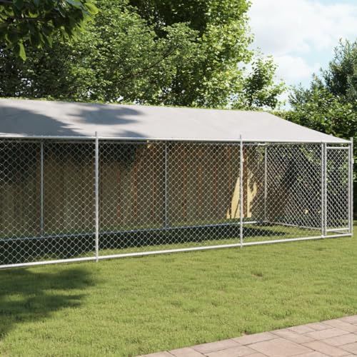 HOMEELIKE Hundezwinger mit Dach und T¨¹r Grau 8x2x2 m Verzinkter Stahl HOMEELIKE Hundezwinger mit Dach und T¨¹r Grau 8x2x2 m Verzinkter Stahl von HOMEELIKE