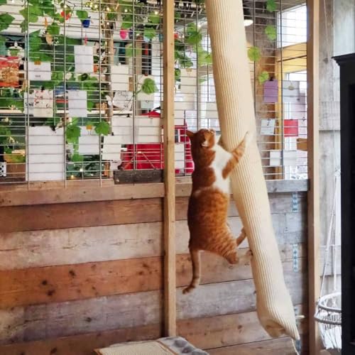 Quapas! Klettersack f¨¹r Katzen Sisal 180 cm Quapas! Klettersack f¨¹r Katzen Sisal 180 cm von HOMEELIKE