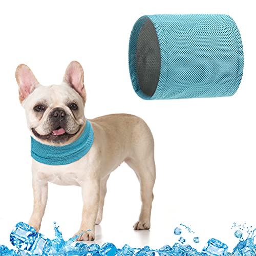 HOMIMP Kühlendes Bandana für Hunde, für den Sommer, sehr weich, langlebig, kühlendes Zubehör für kleine, mittelgroße und große Hunde von HOMIMP
