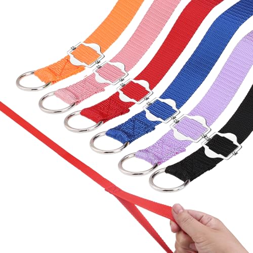 HOMIMP Retrieverleine, Hundeleine für kleine, mittelgroße und große Hunde, Welpen, Tierrettung, Fellpflege, strapazierfähig, starkes Nylon, 1,8 m lang, für Unterschlupf, Tierarzt, Training, 6 Stück HOMIMP Retrieverleine, Hundeleine für kleine, mittelgroße und große Hunde, Welpen, Tierrettung, Fellpflege, strapazierfähig, starkes Nylon, 1,8 m lang, für Unterschlupf, Tierarzt, Training, 6 Stück von HOMIMP
