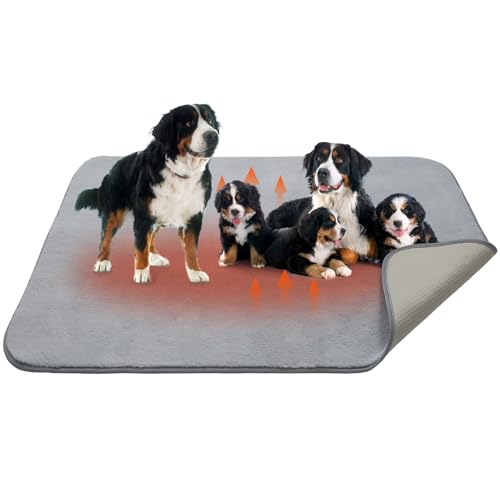 Homimp Selbstwärmendes Katzenbett, beheiztes Katzenbett, Matte für Katzen, kleine Hunde, 149,9 x 101,6 cm Homimp Selbstwärmendes Katzenbett, beheiztes Katzenbett, Matte für Katzen, kleine Hunde, 149,9 x 101,6 cm von HOMIMP