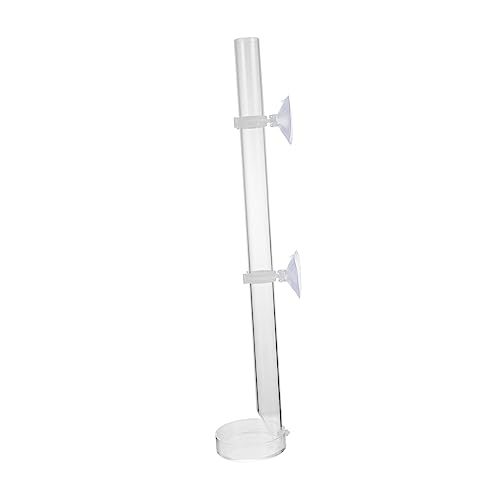 HOMOBABE 1 Satz Fütterungssonde für Fischbecken Aquarium Kleiner Fischtank Futterspender Einfacher Feeder Garnelen futterrohr Garnelenfutterrohr Fischtankwerkzeug aus Acryl HOMOBABE 1 Satz Fütterungssonde für Fischbecken Aquarium Kleiner Fischtank Futterspender Einfacher Feeder Garnelen futterrohr Garnelenfutterrohr Fischtankwerkzeug aus Acryl von HOMOBABE