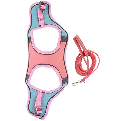HOMOBABE 1 Satz Haustier Geschirr pet Supplies hundegurt Hundehalsband katzenhalsband katzenzubehöhr klein Welpe Zubehör Kätzchen ausbruchsichere Weste Laufseil für Kätzchen Wildleder- von HOMOBABE