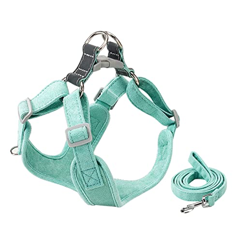 HOMOBABE 1 Set Haustiergeschirr Hundegeschirr Einziehbare Hundeleine Für Hunde Kein Fleece Extra Kleines Hundegeschirr Haustierleine Chihuahua Geschirr Für Kleine Hunde HOMOBABE 1 Set Haustiergeschirr Hundegeschirr Einziehbare Hundeleine Für Hunde Kein Fleece Extra Kleines Hundegeschirr Haustierleine Chihuahua Geschirr Für Kleine Hunde von HOMOBABE